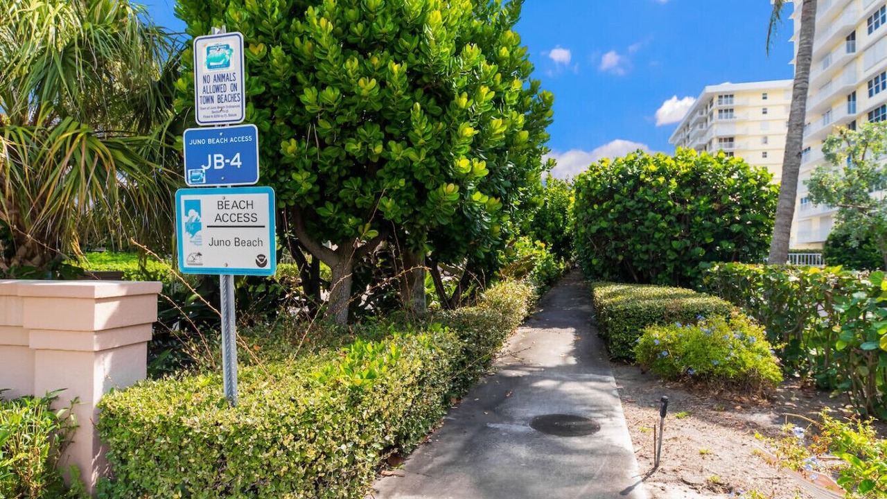 Photo of Outdoor in Juno Beach