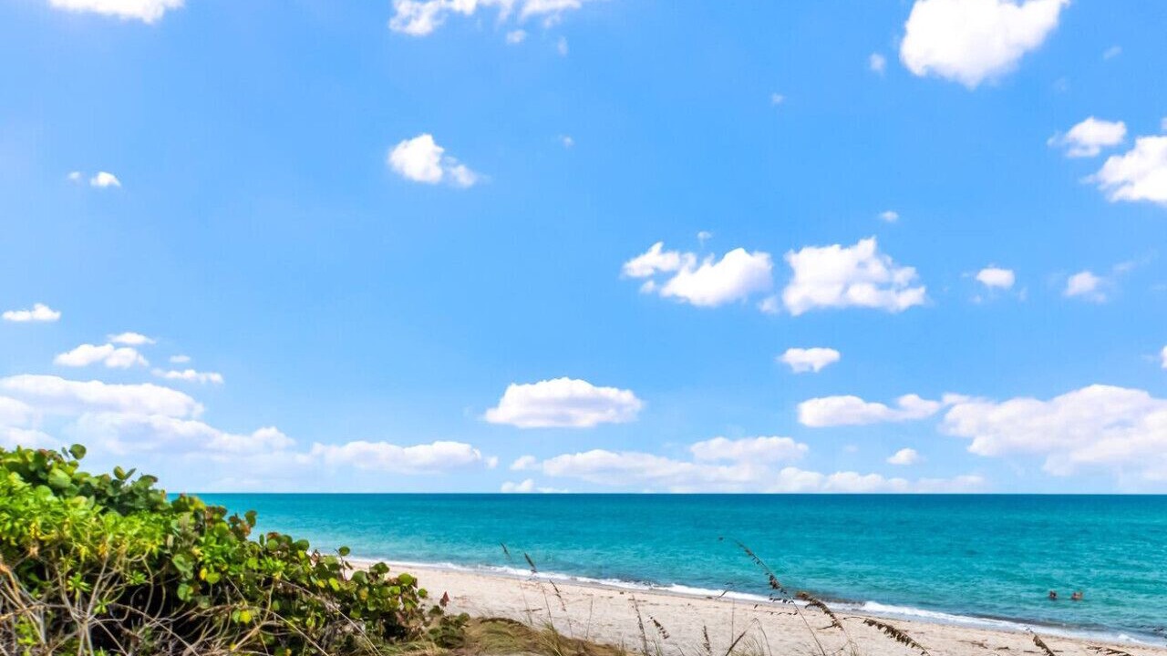 Photo of Others in Juno Beach