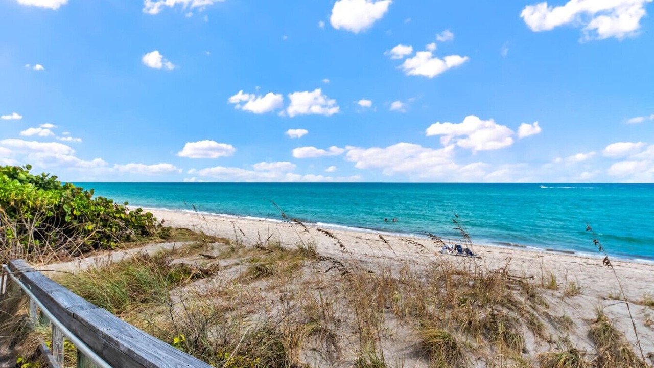 Photo of Others in Juno Beach