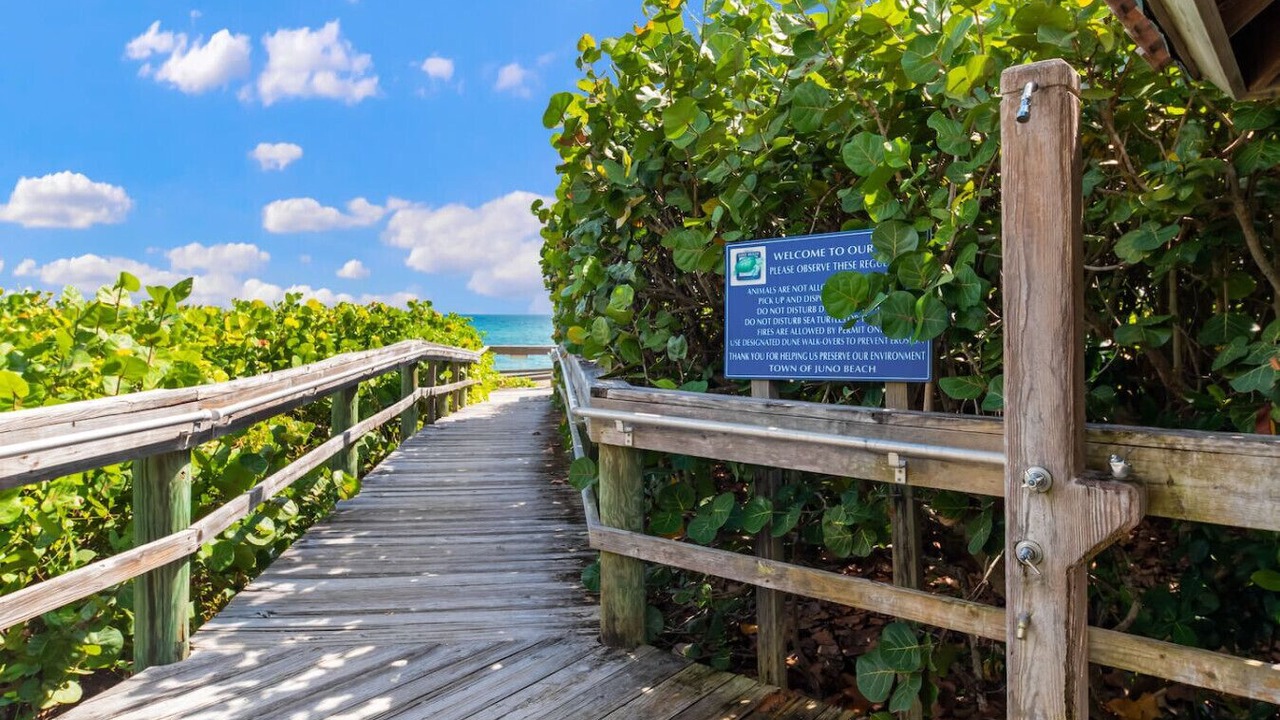 Photo of Outdoor in Juno Beach