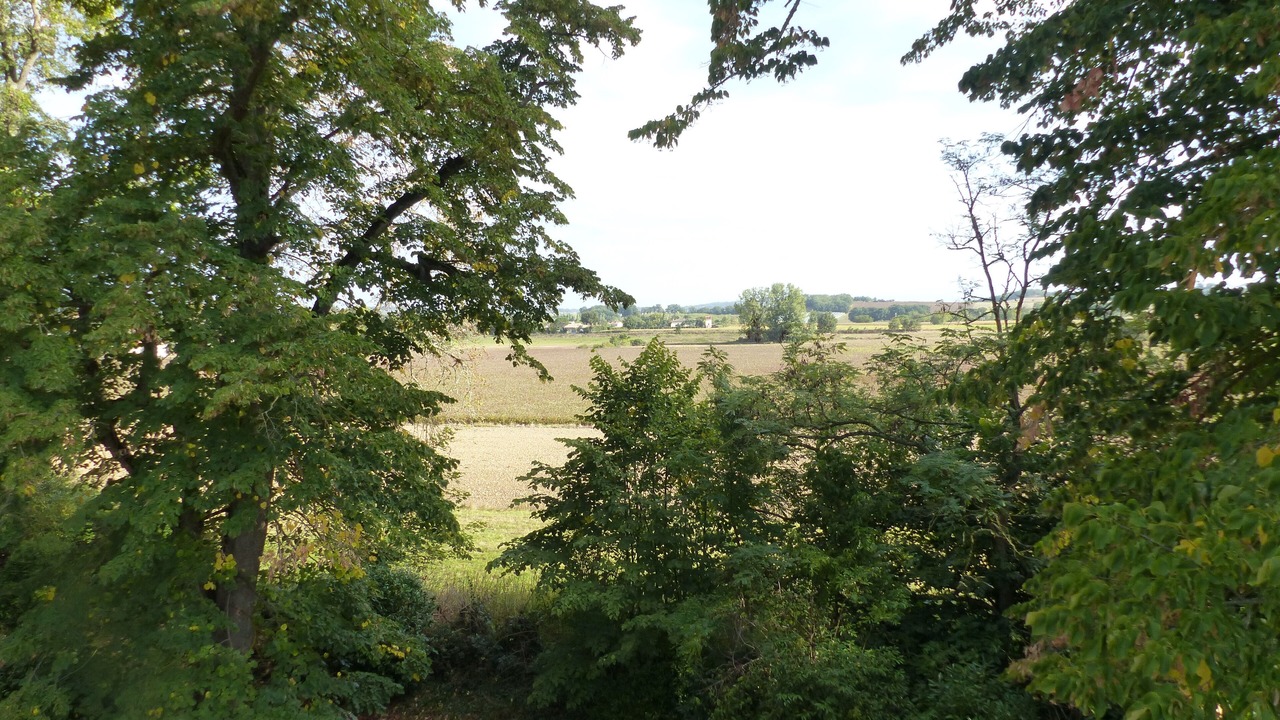 Photo of Others in Ambres
