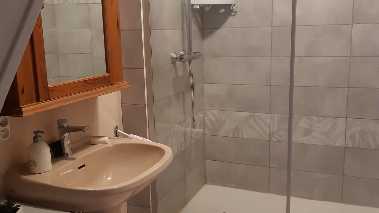 Photo of Bathroom in Laruns