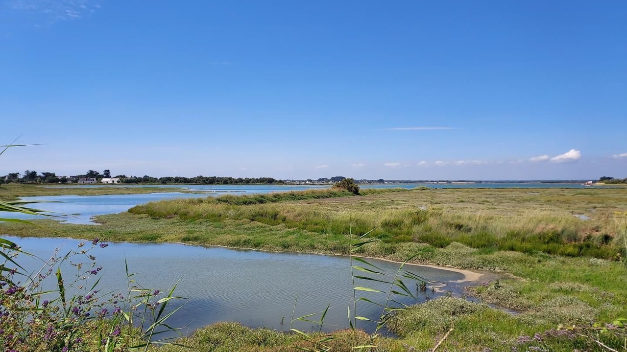 Photo of Others in Questembert