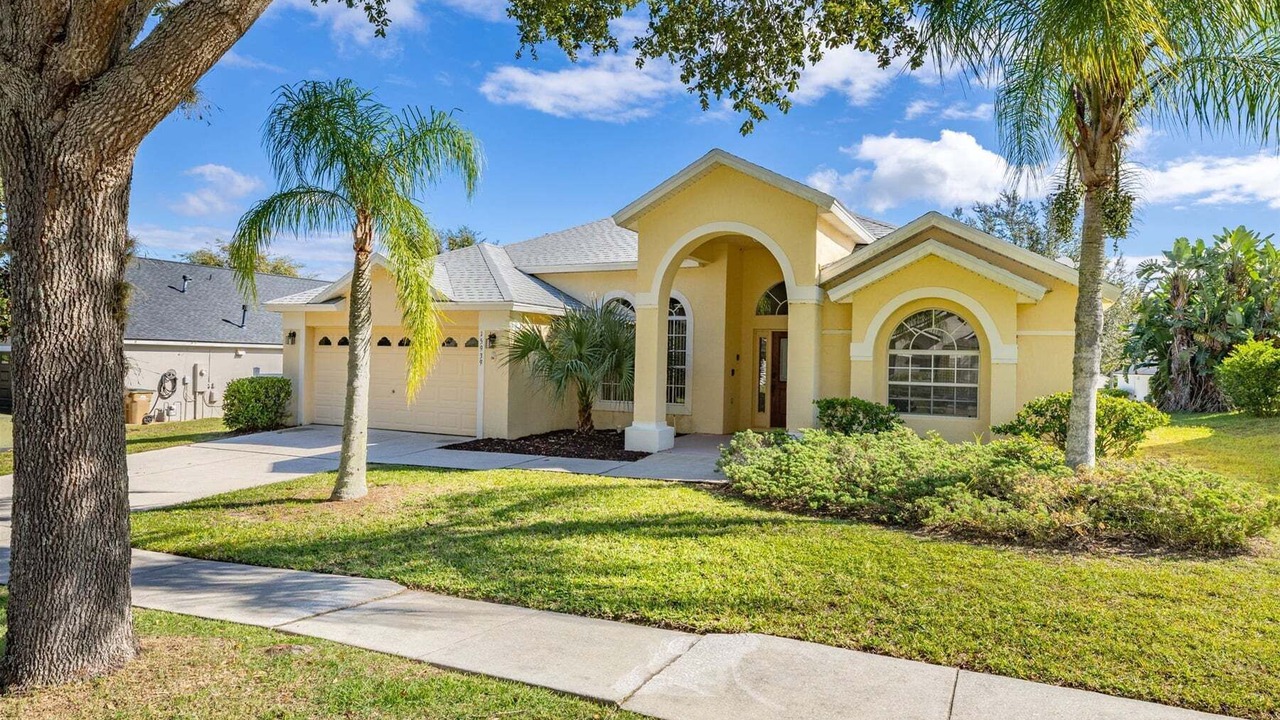 Photo of Outdoor in Orange Tree