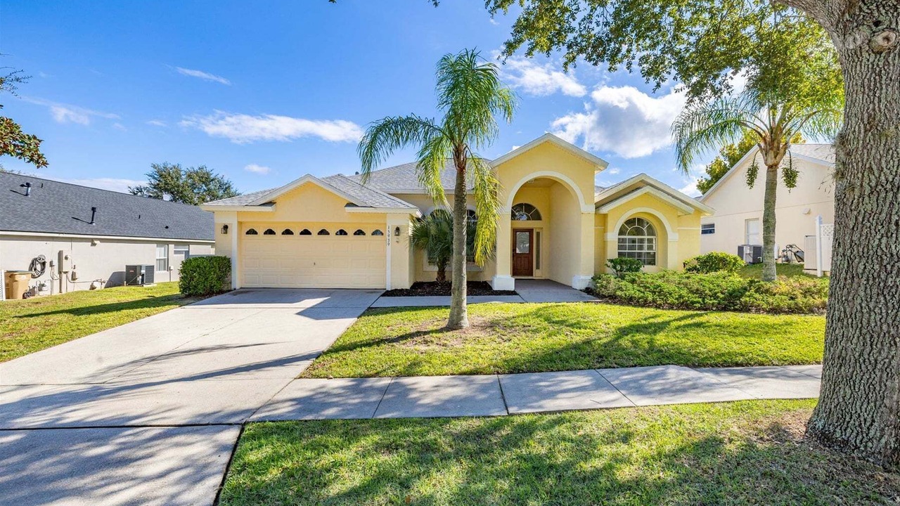 Photo of Outdoor in Orange Tree