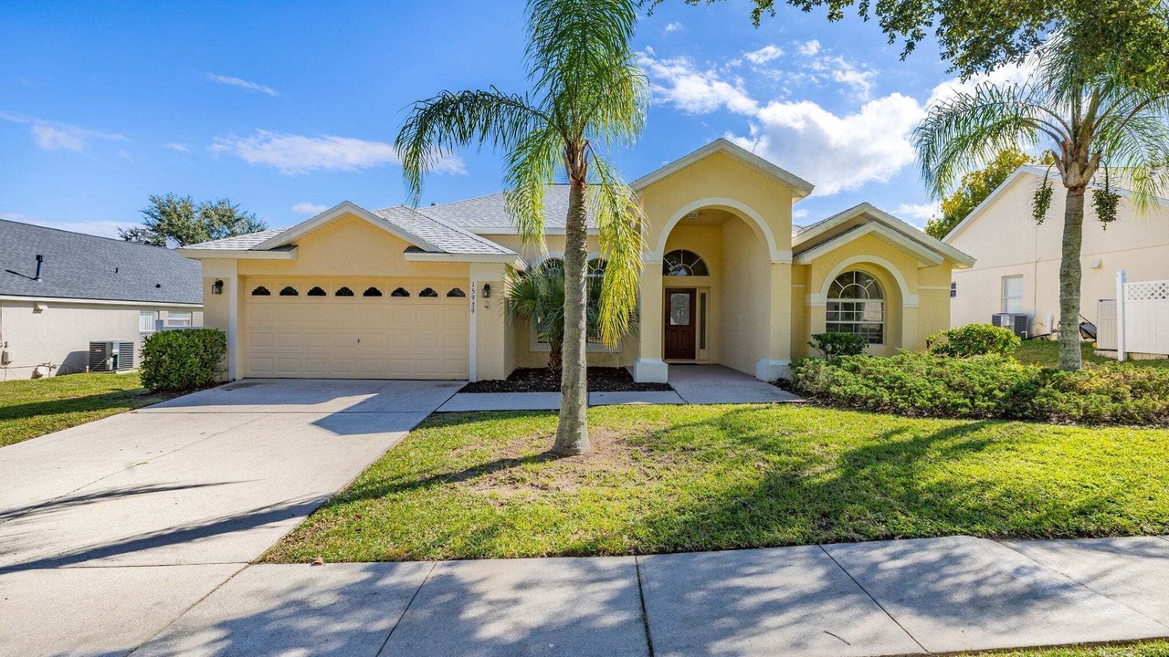 Photo of Outdoor in Orange Tree