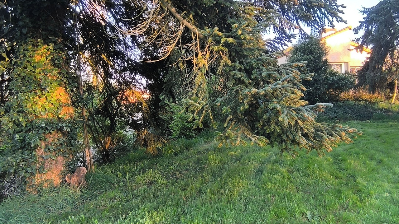 Photo of Outdoor in Le May-sur-Evre