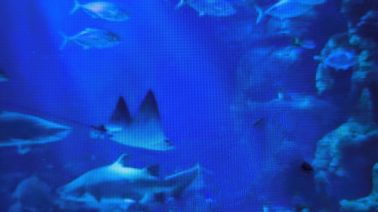 Photo of Others in Vic-la-Gardiole