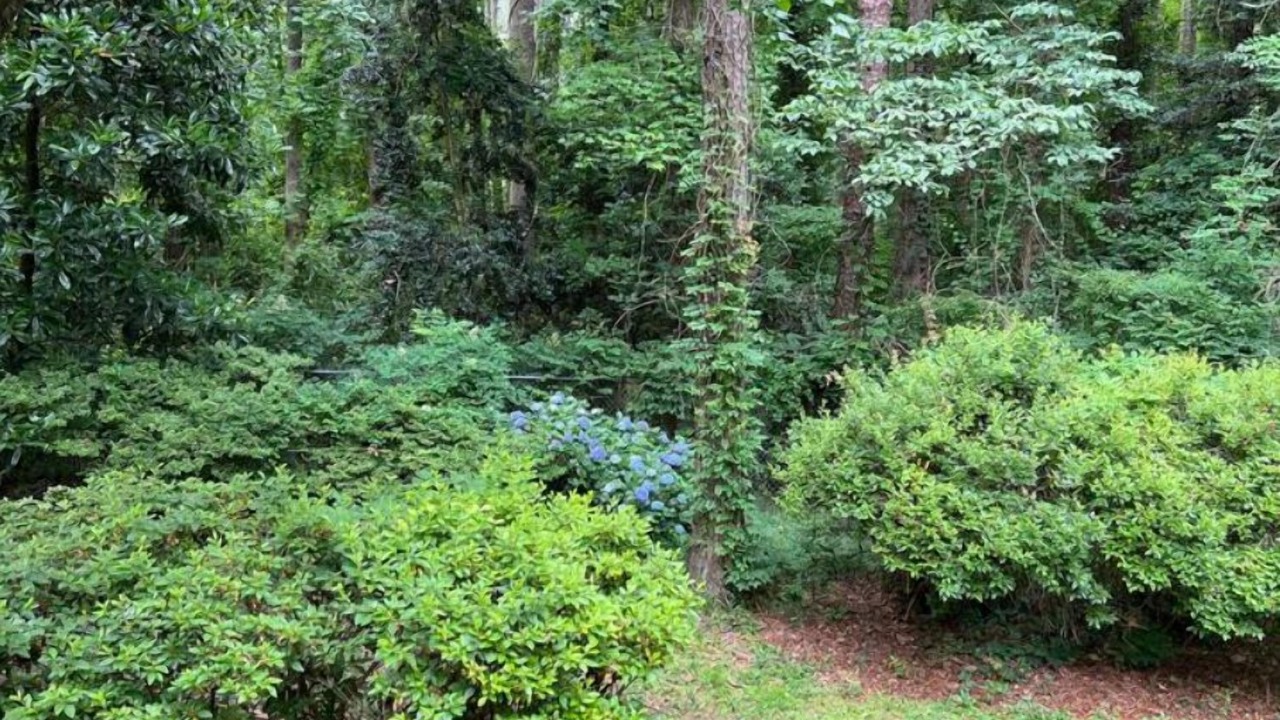 Photo of Outdoor in Goldsboro