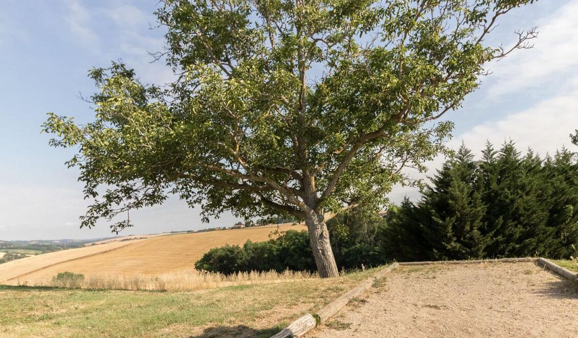 Photo of Outdoor in Aignes