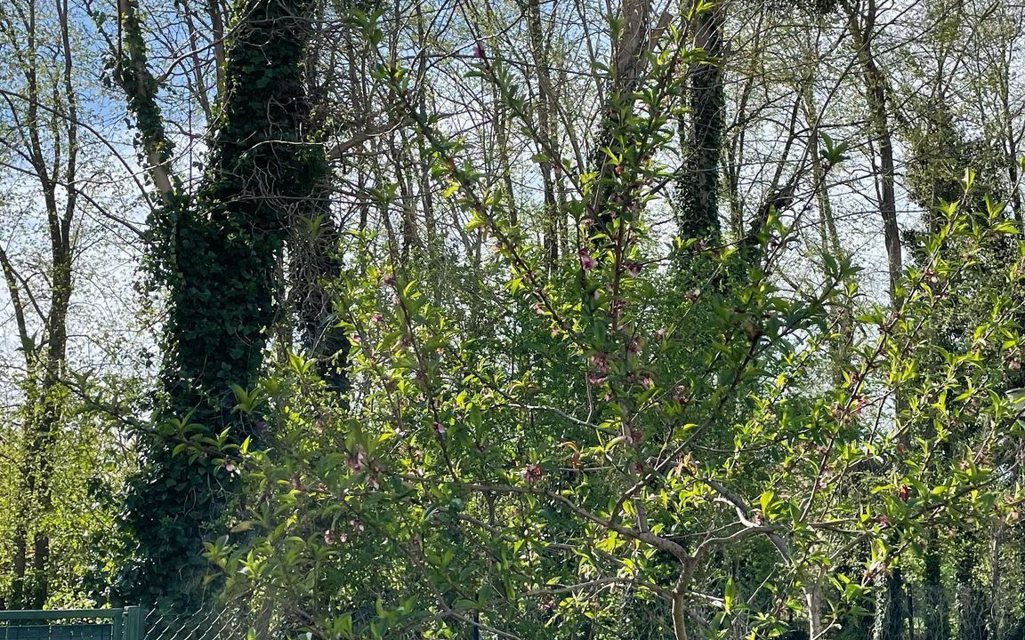 Photo of Outdoor in Rosieres-pres-Troyes