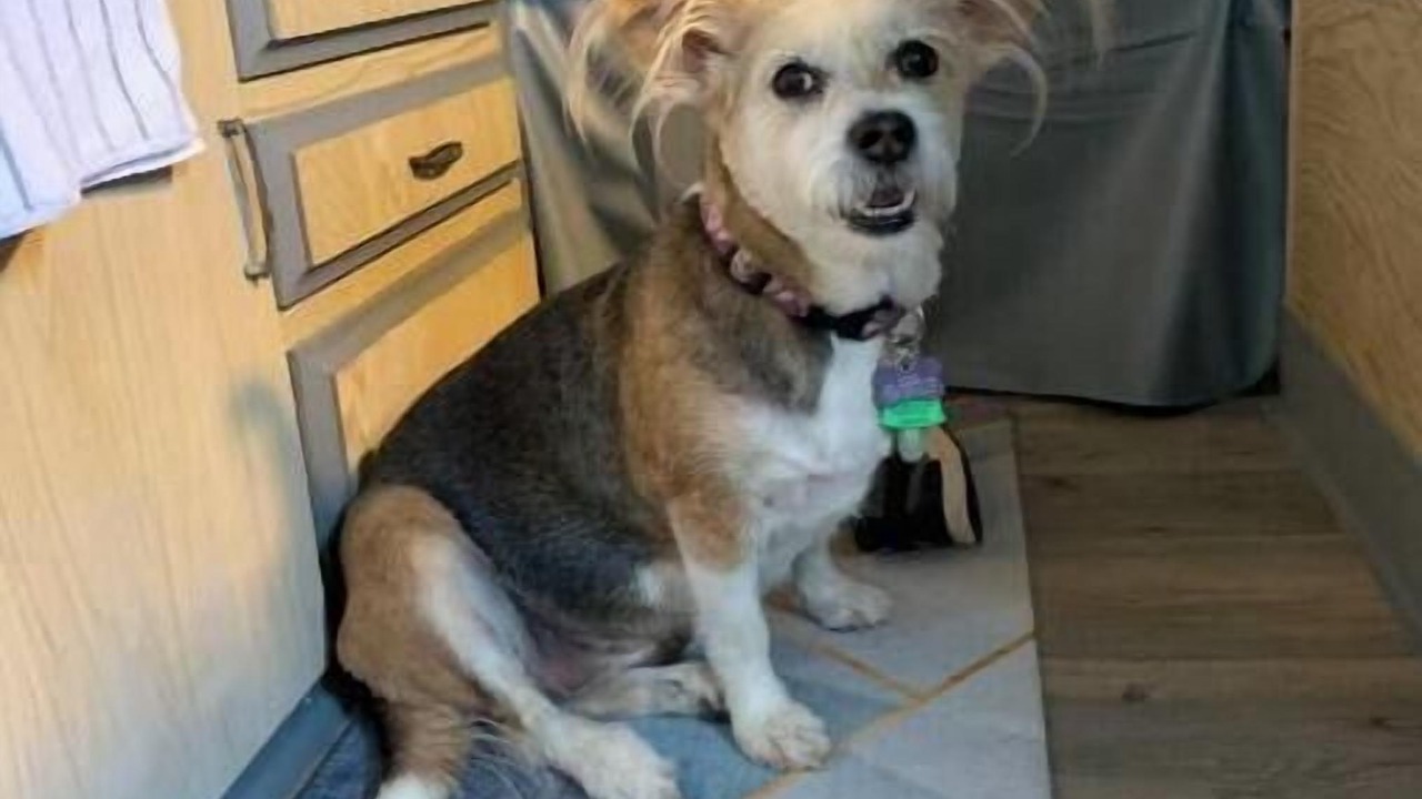 Photo of Bedroom in Sweet Grass County