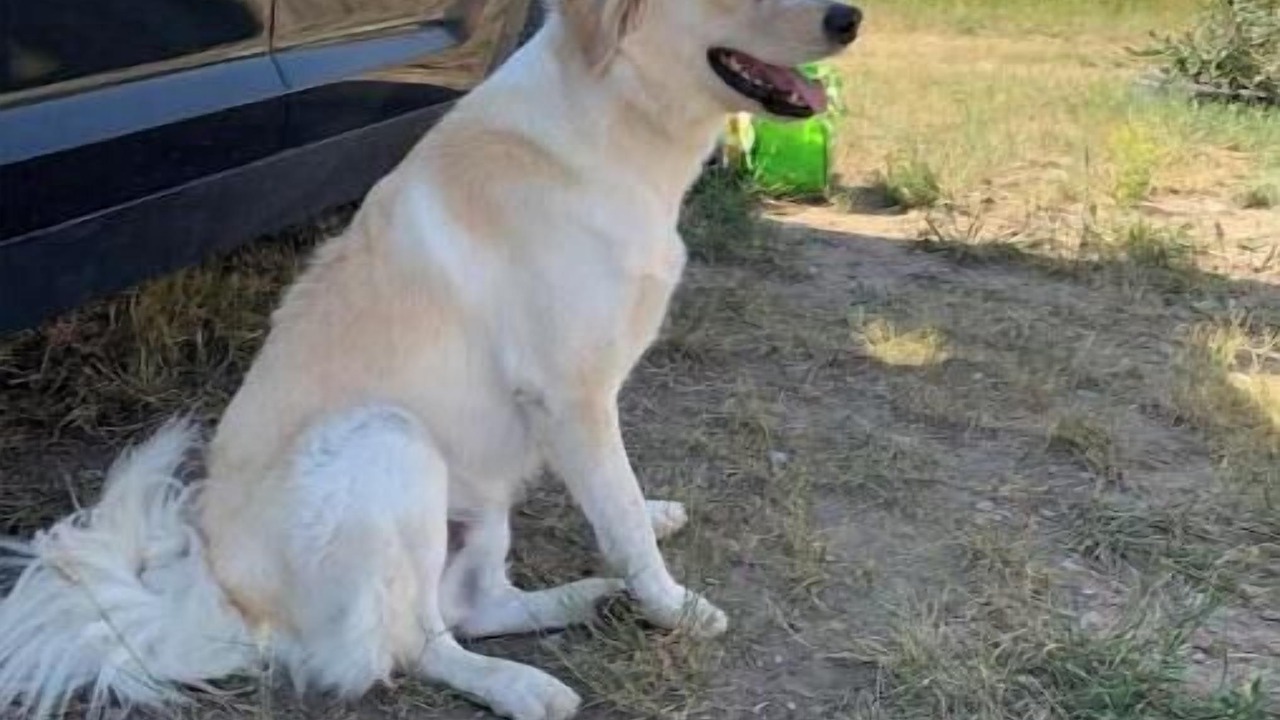 Photo of Others in Sweet Grass County