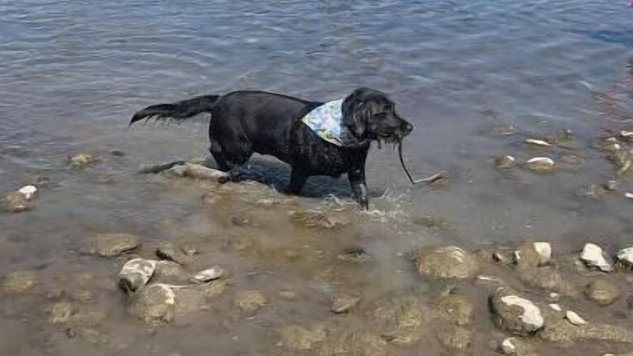 Photo of Others in Sweet Grass County