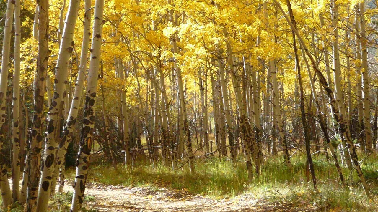 Photo of Others in Estes Park