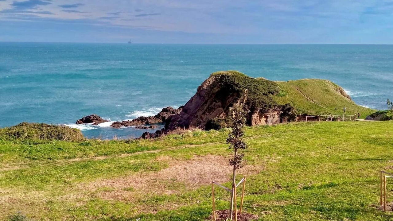 Photo of Others in Bermeo
