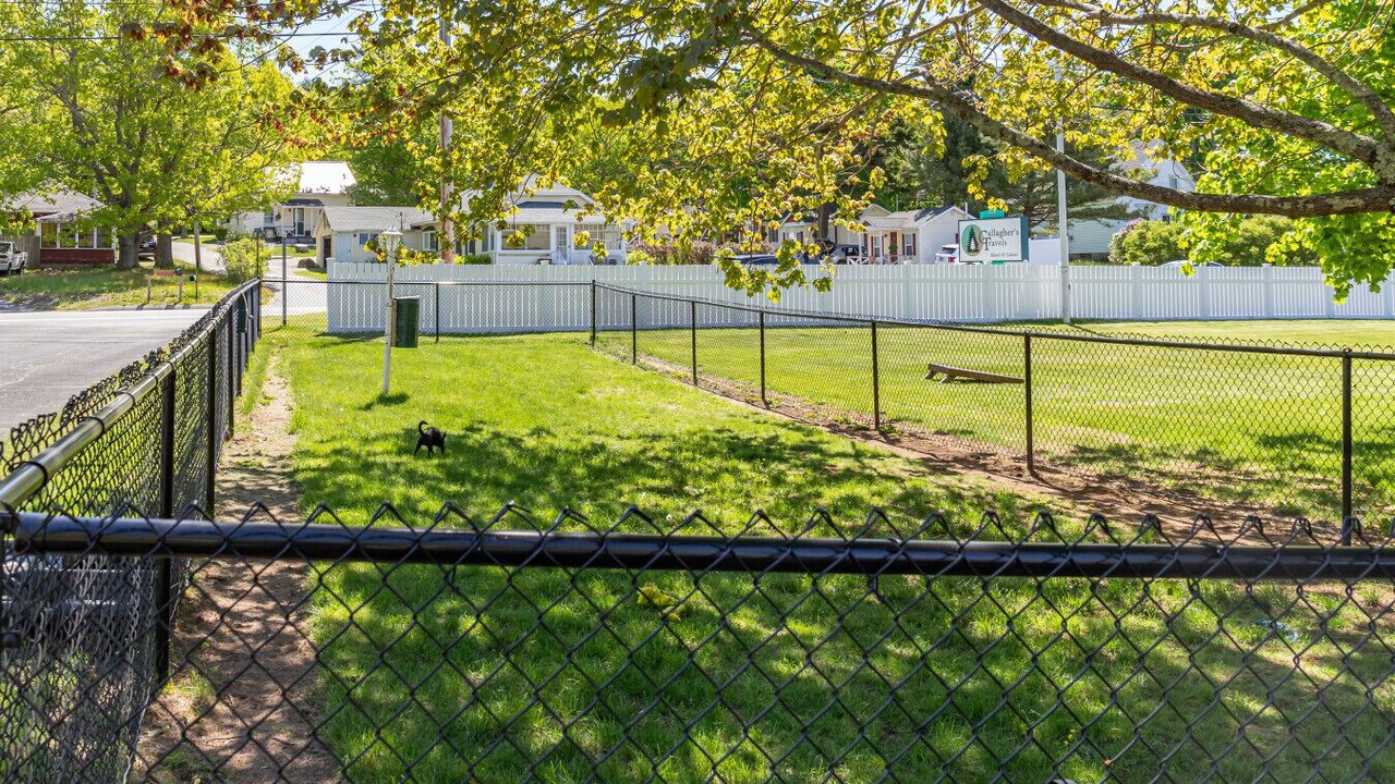 Photo of Outdoor in Hulls Cove