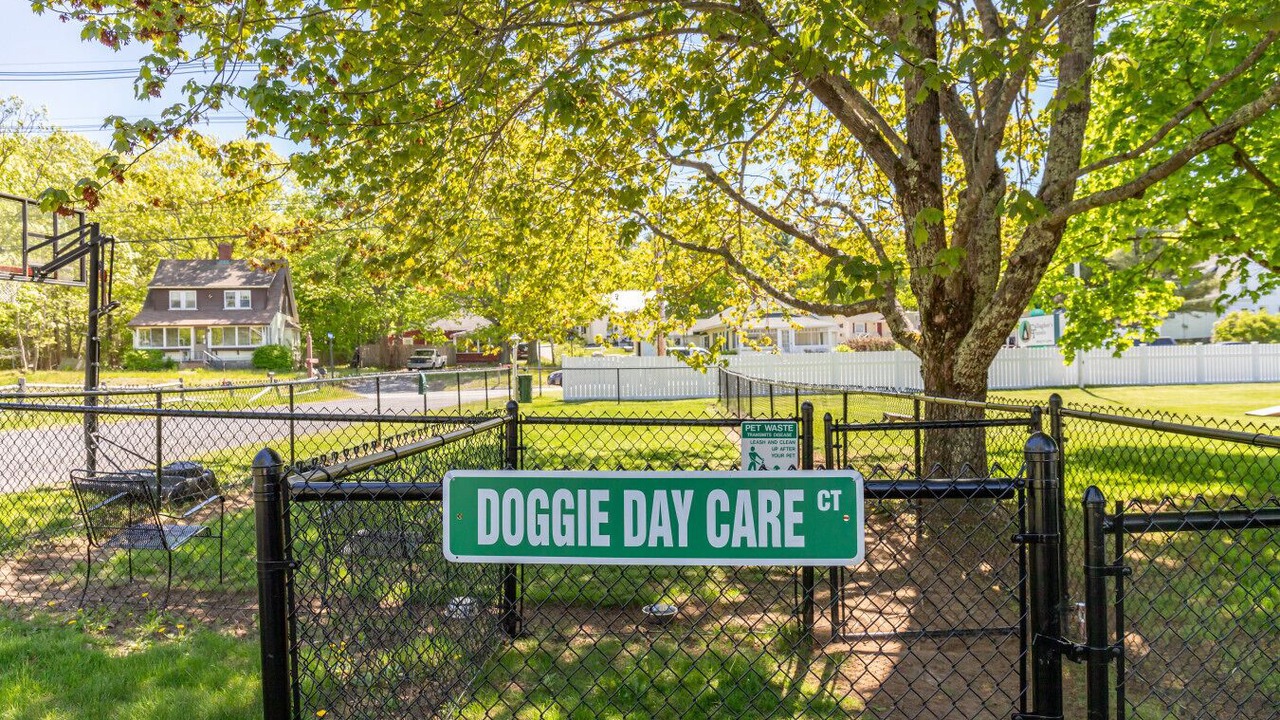 Photo of Outdoor in Hulls Cove