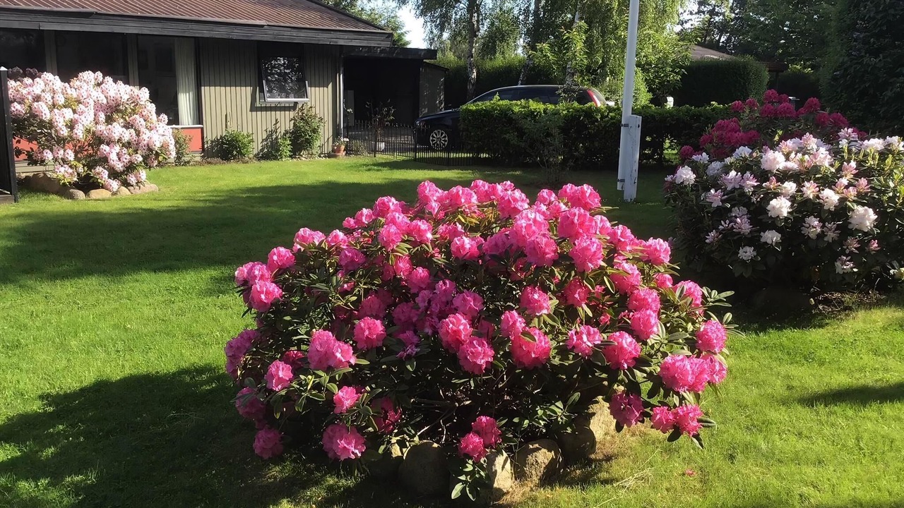 Photo of Others in Havnsø