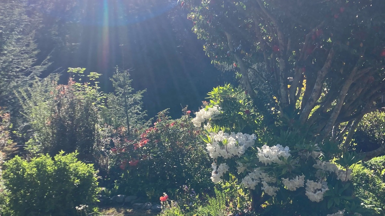 Photo of Outdoor in Waldport