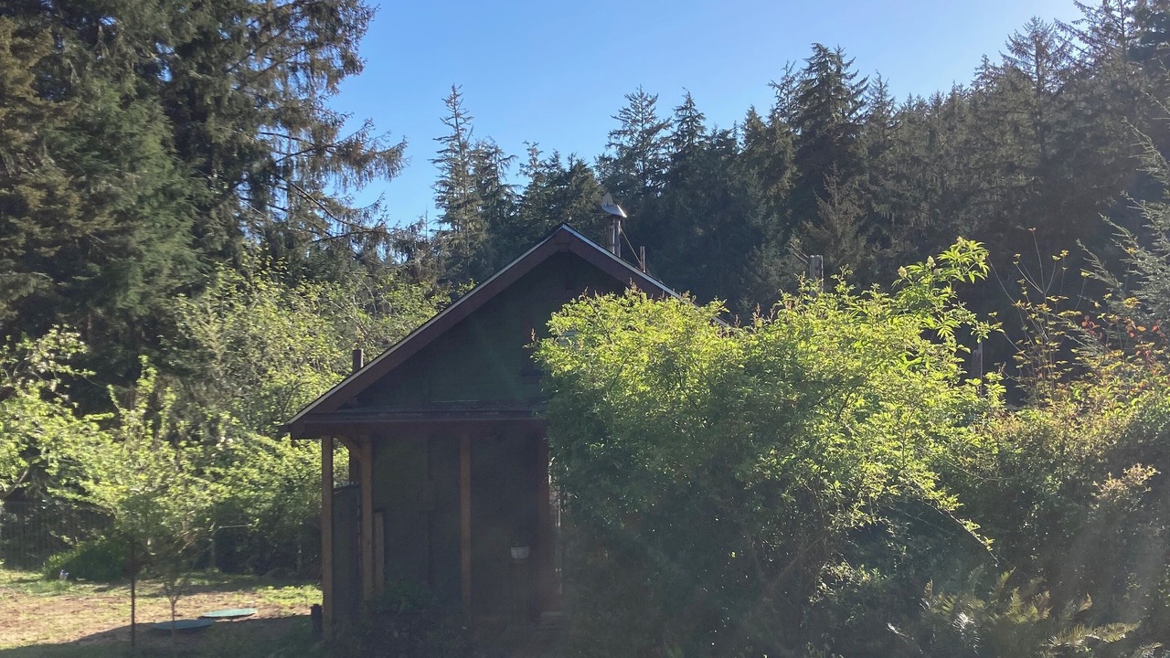 Photo of Outdoor in Waldport