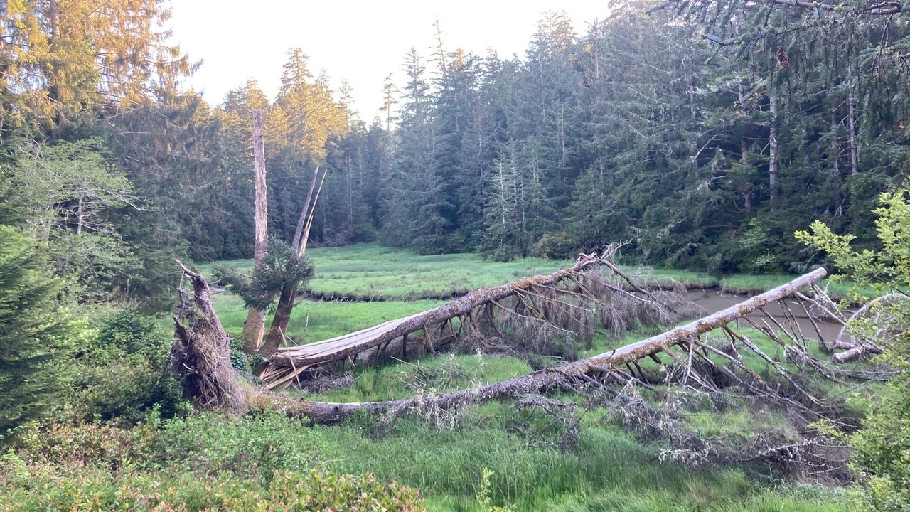 Photo of Others in Waldport