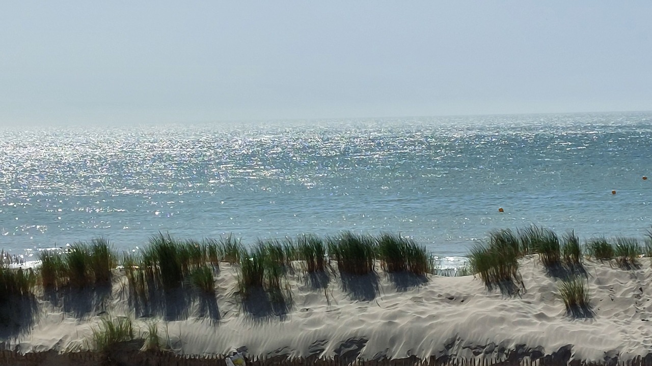 Photo of Others in Fort-Mahon-Plage
