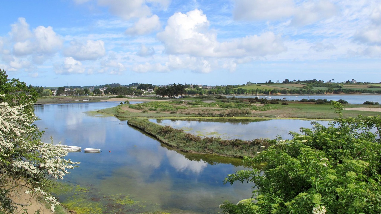 Photo of Others in Paimpol