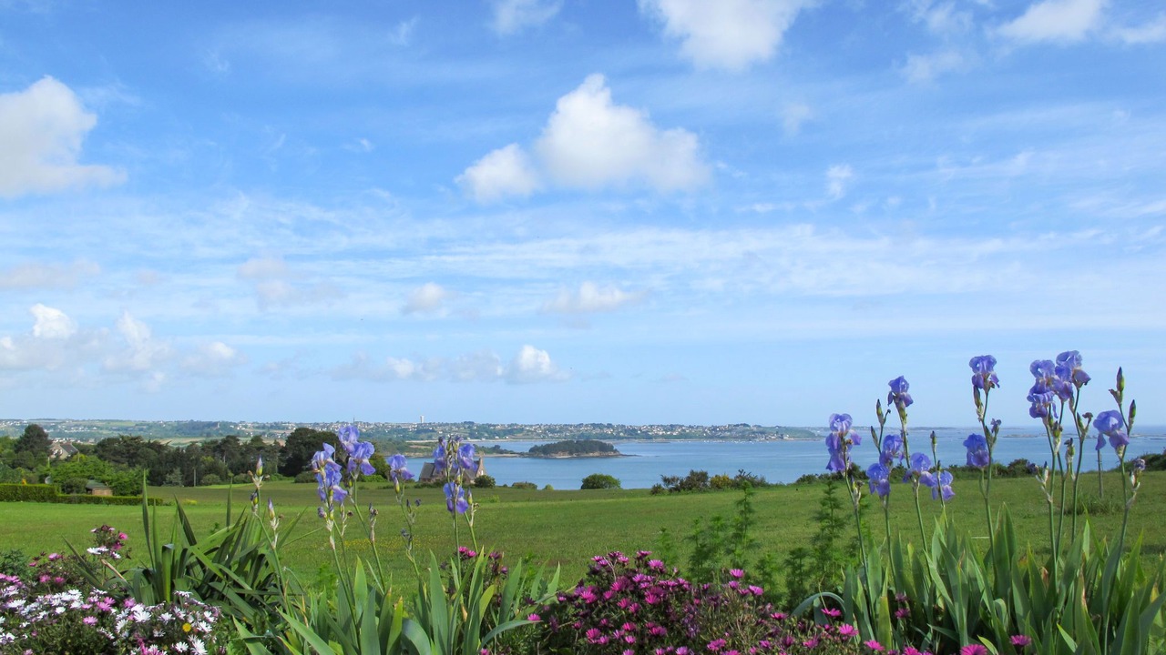 Photo of Others in Paimpol