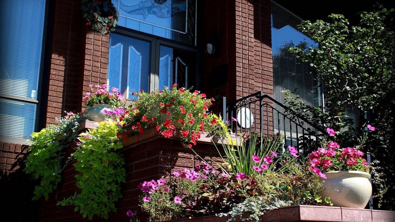 Photo of Outdoor in Humber Summit