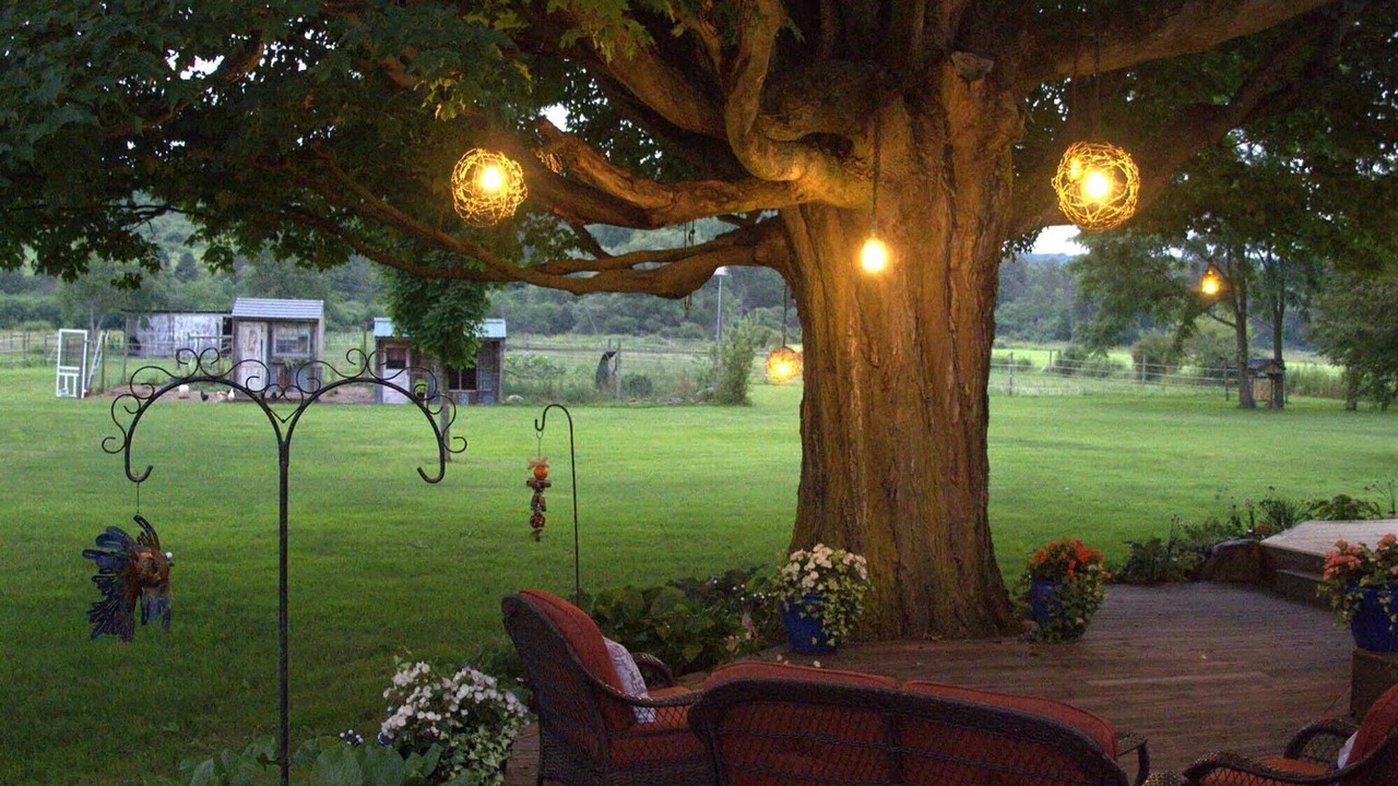 Photo of Outdoor in Farmersville Station