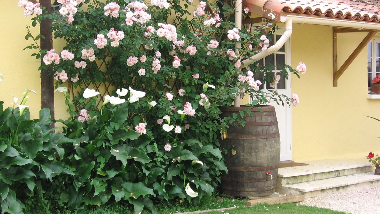 Photo of Outdoor in Manciet