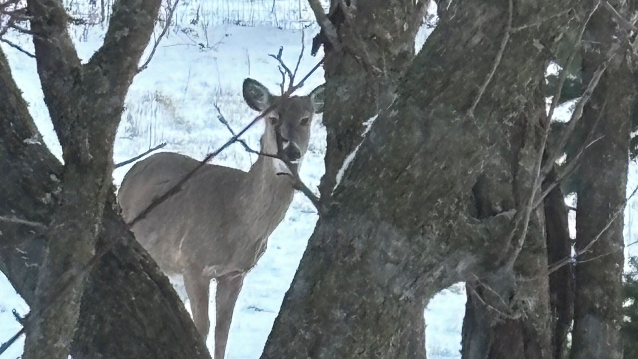 Photo of Others in Honey Creek