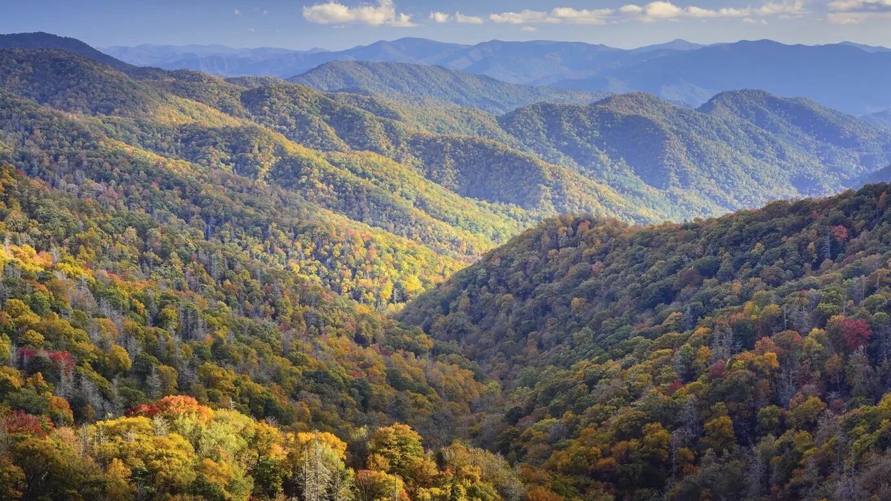 Photo of Others in Gatlinburg