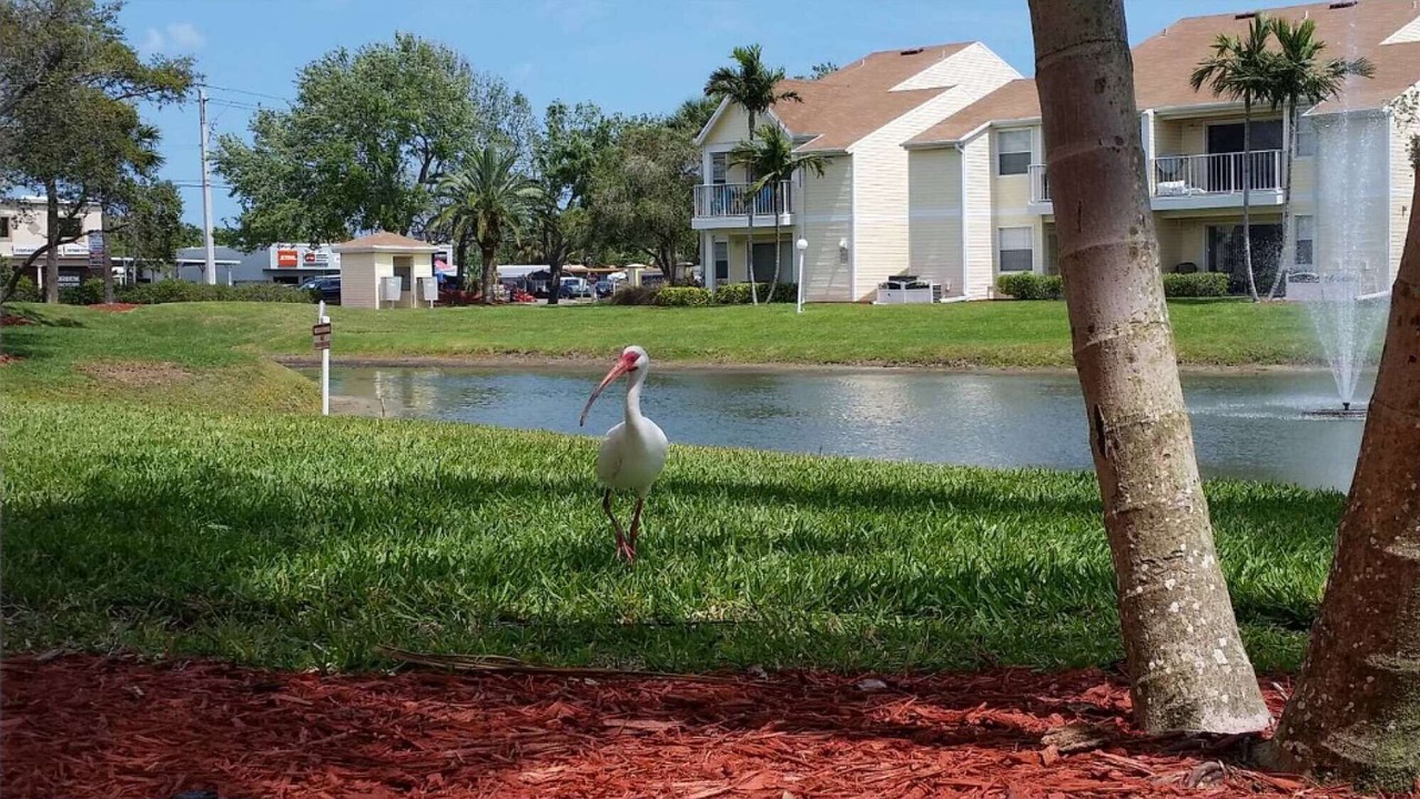 Photo of Outdoor in Ocean Side Village