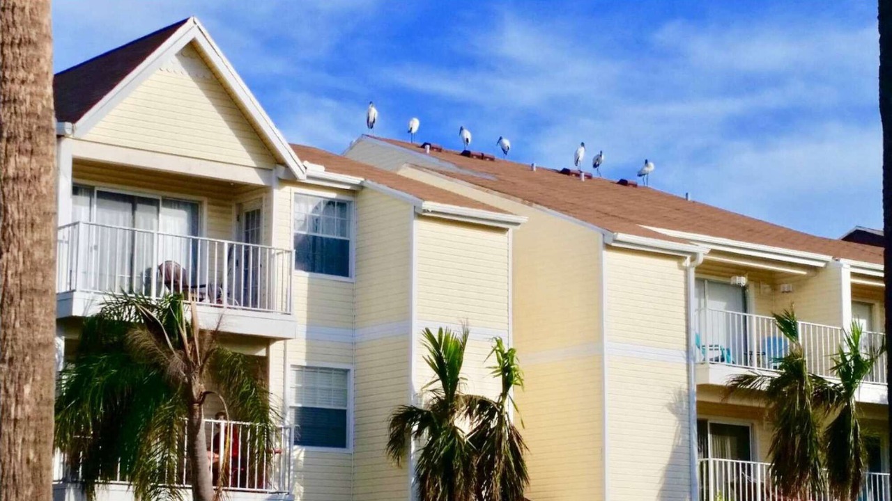 Photo of Outdoor in Ocean Side Village