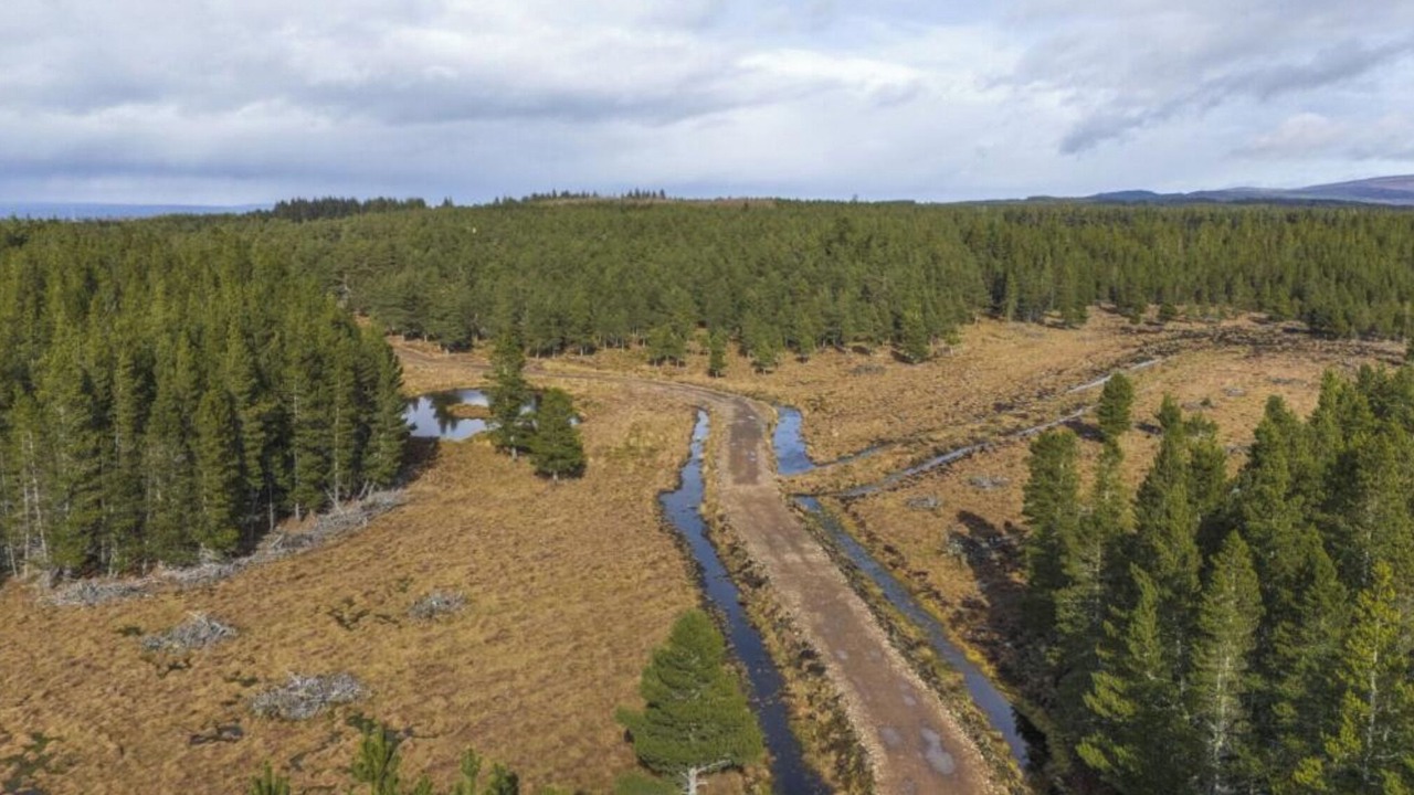 Photo of Others in Farr