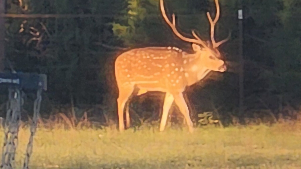 Photo of Others in Boerne
