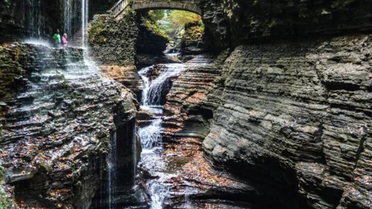 Photo of Others in Montour Falls