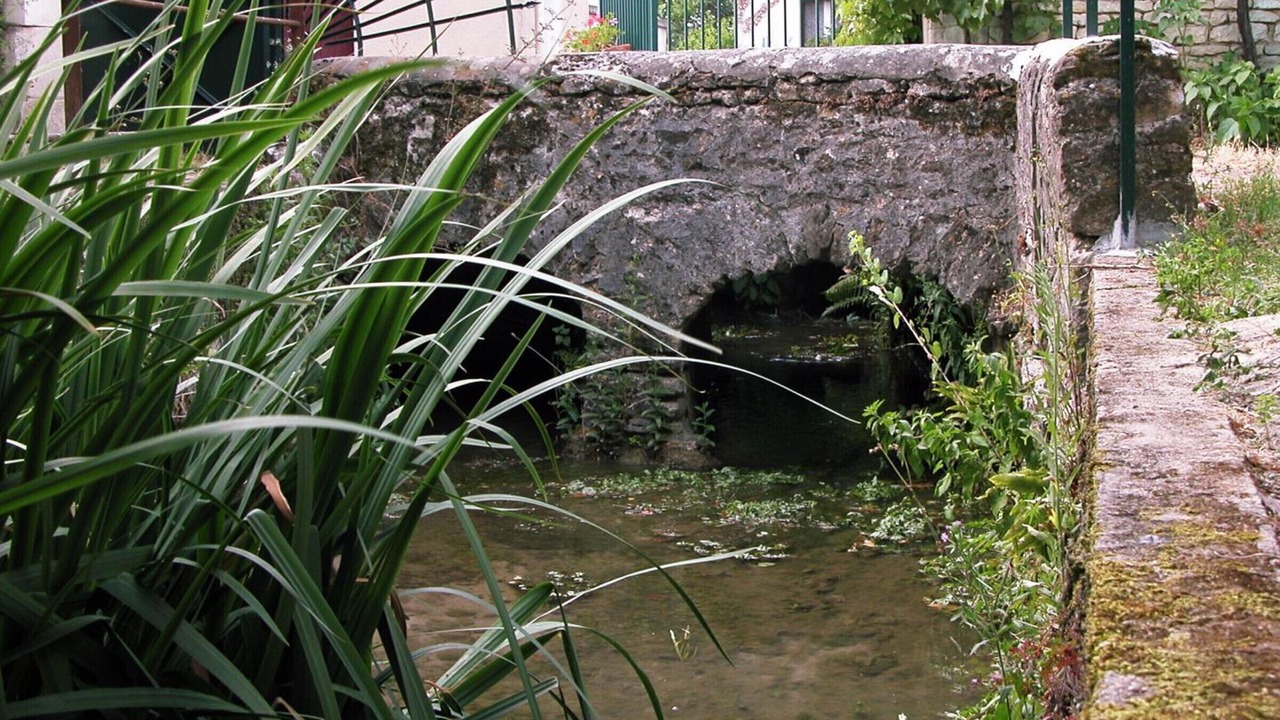 Photo of Outdoor in Verneuil-le-Chateau