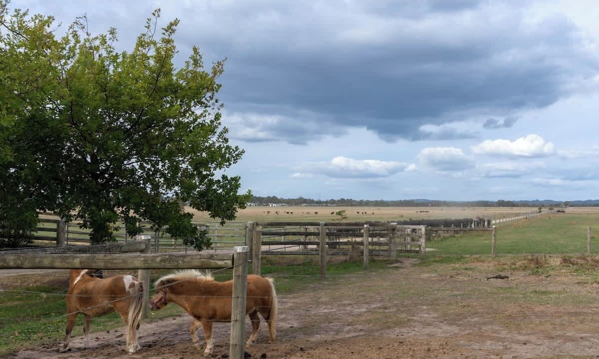 Photo of Others in Lang Lang