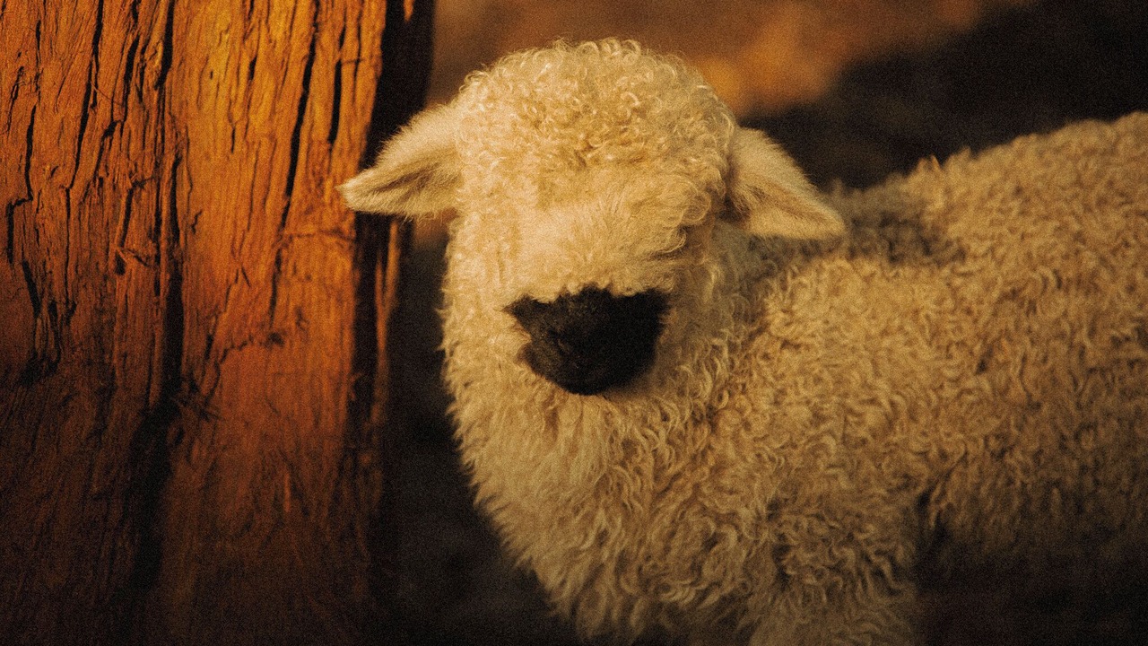 Photo of Others in Bobs Farm