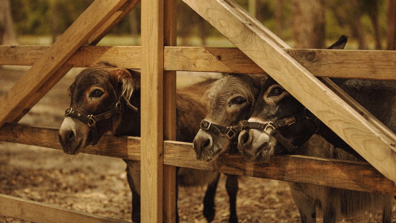 Photo of Others in Bobs Farm