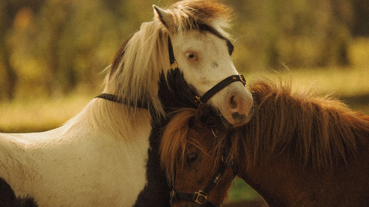 Photo of Others in Bobs Farm