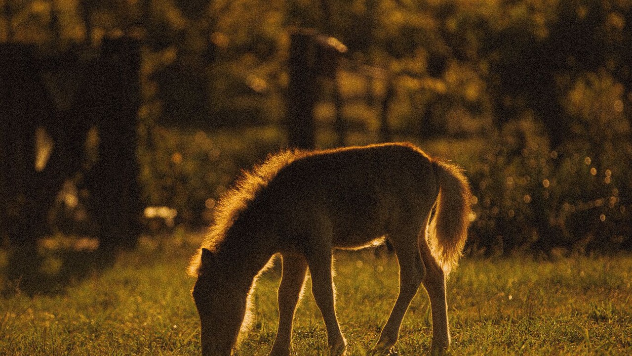 Photo of Others in Bobs Farm