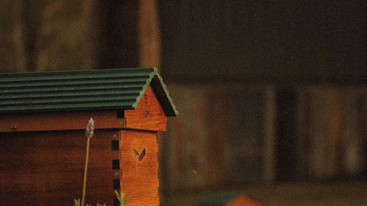 Photo of Others in Bobs Farm