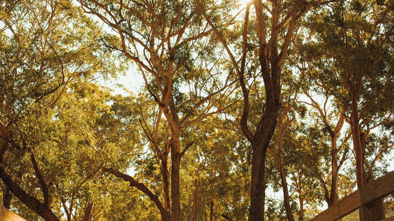 Photo of Others in Bobs Farm