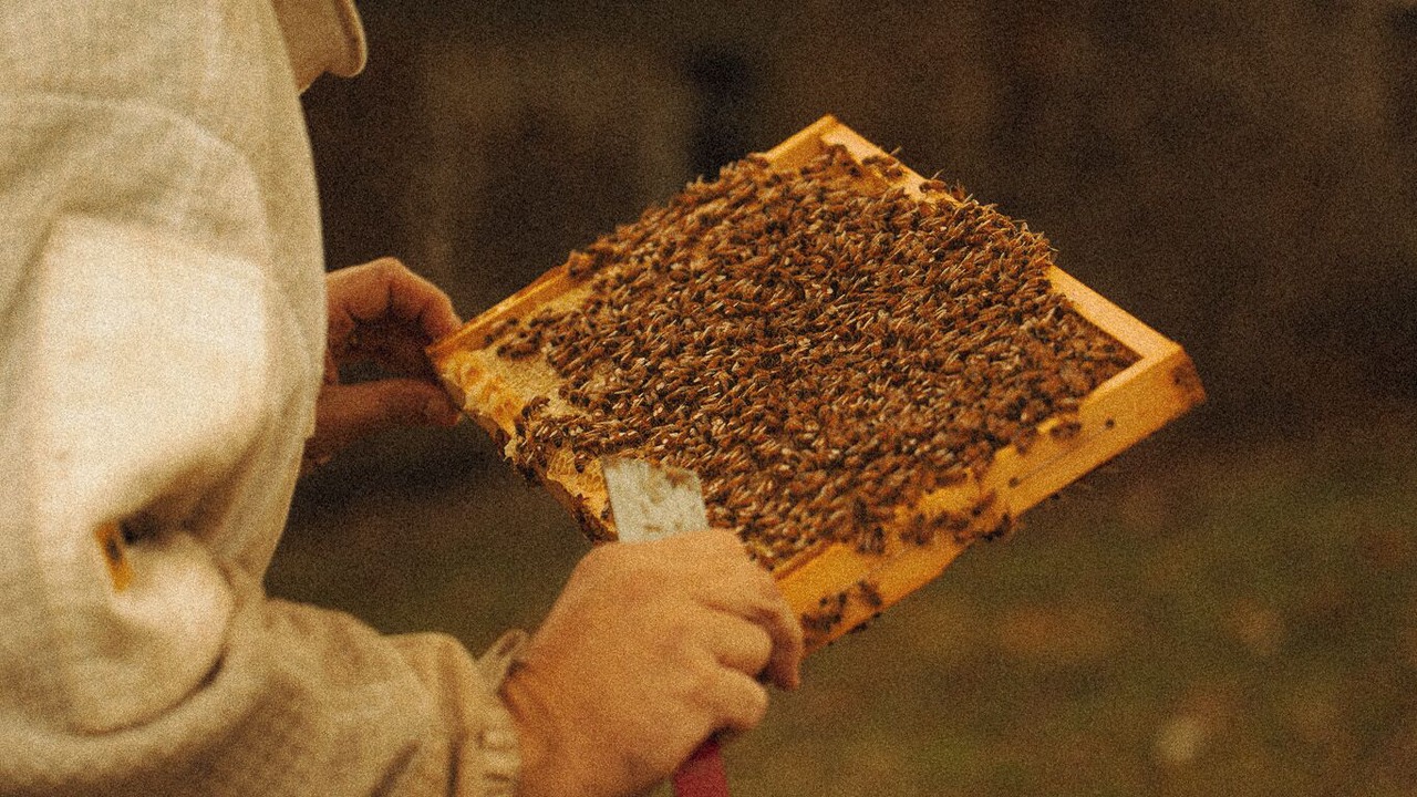 Photo of Others in Bobs Farm