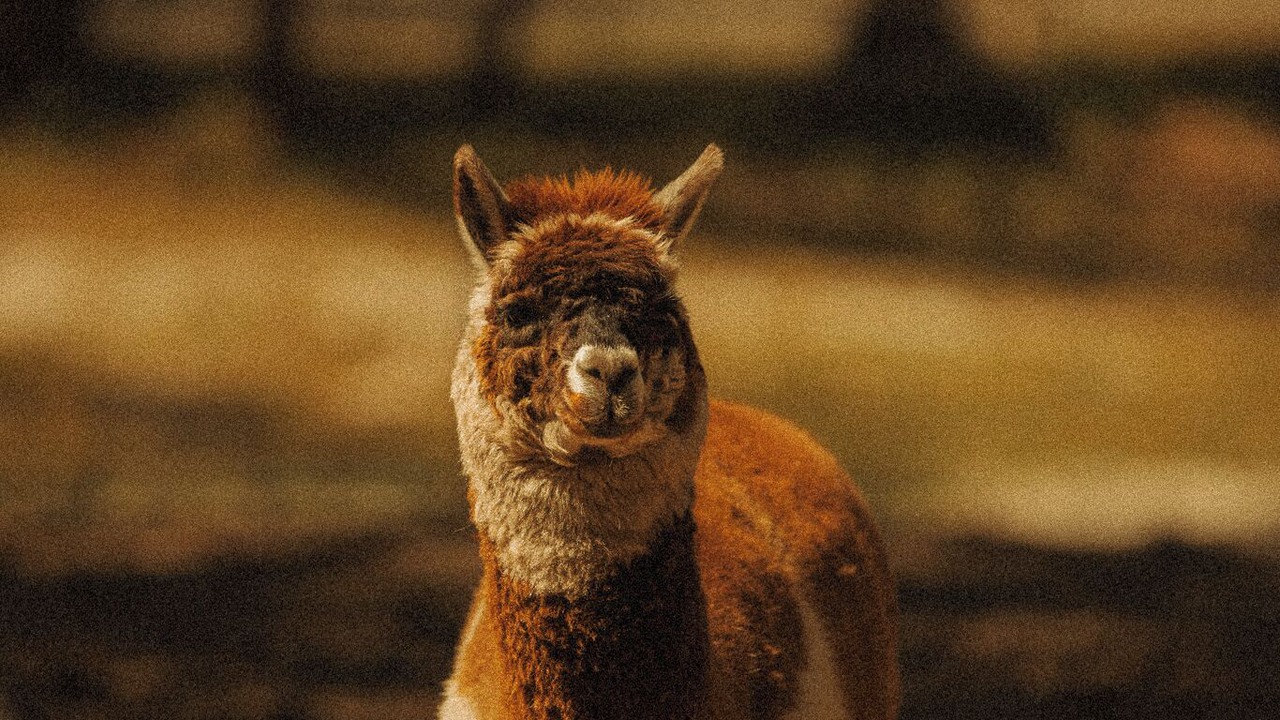 Photo of Others in Bobs Farm