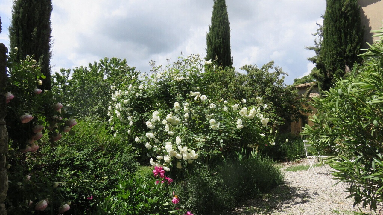 Photo of Outdoor in Lurs